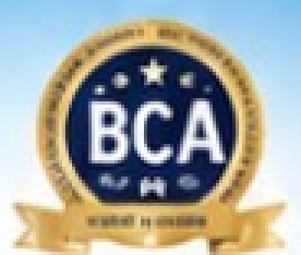 BCA Awards Ceremony Medal